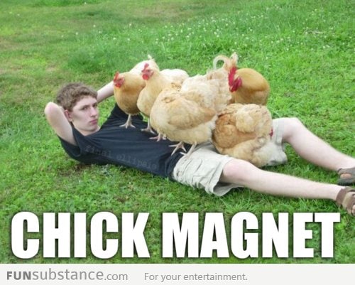 Chick Magnet