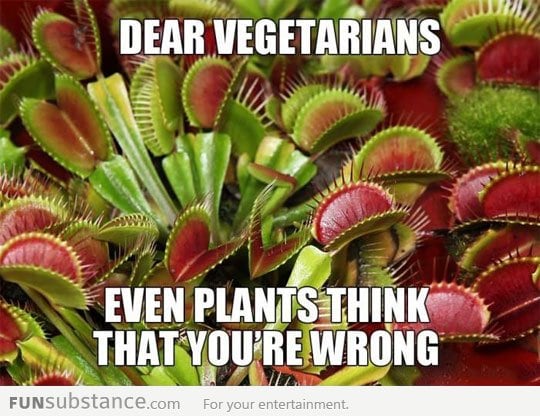 Dear Vegetarians