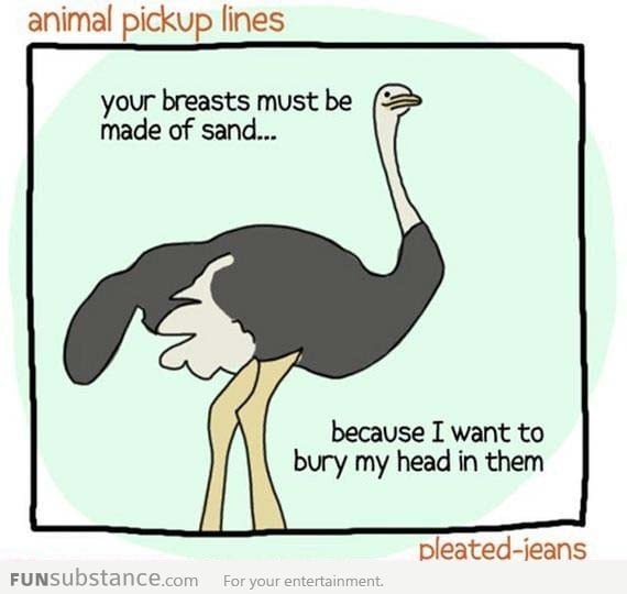 Animal Pick Up Lines