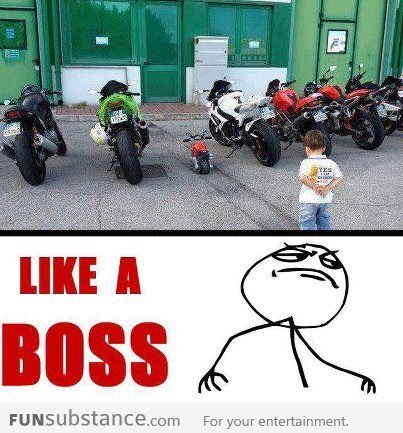 Like A Little Boss!