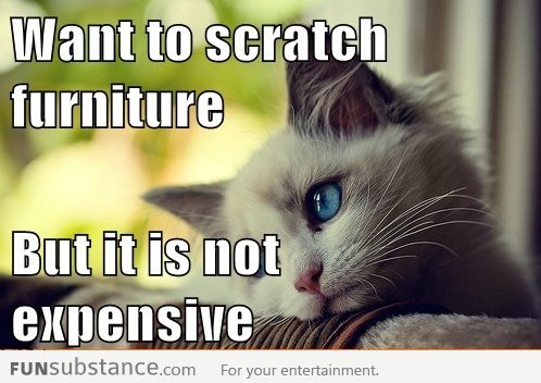 Want to scratch furniture, but it’s not expensive! FML