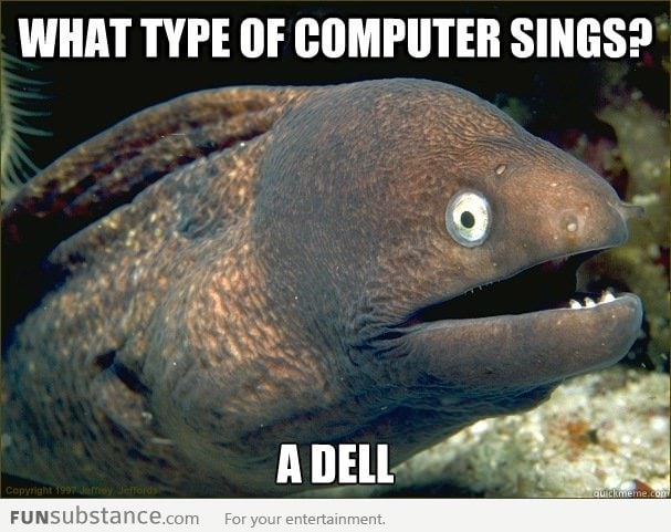 Bad joke eel strikes again