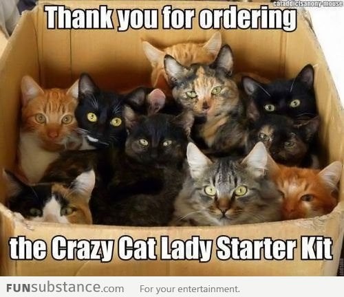 Crazy Cat Lady Starter Kit