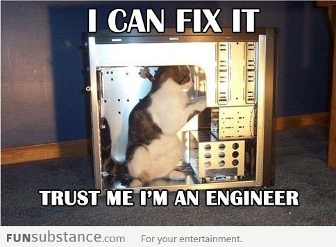 Cat fixing computer engineer