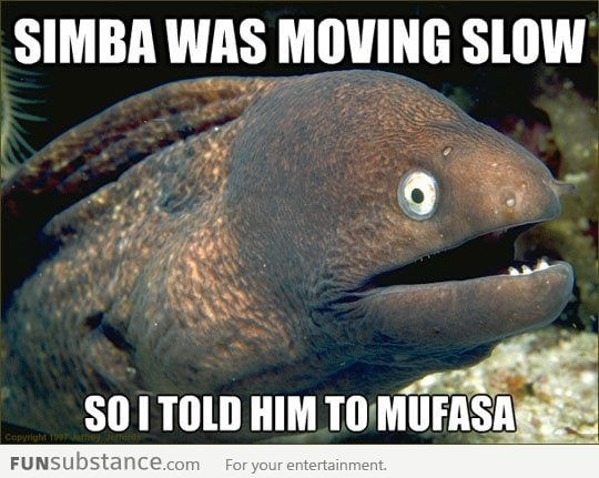 Hurry up, Simba