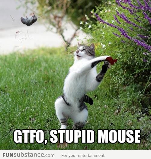 Go away, mouse!