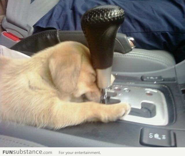 Oh Gear Stick, Will You Love Me Like I Love You?