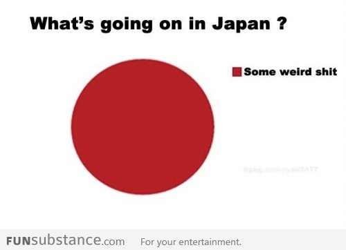 Seriously, dafuq Japan