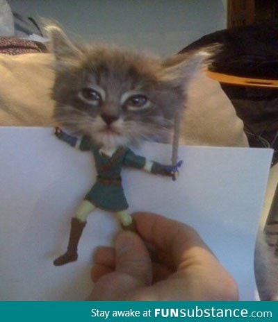 Kitty Link