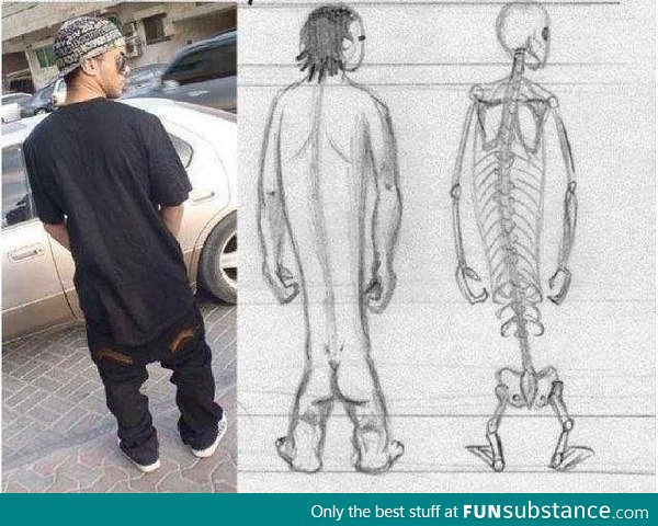 Fashion trend explained