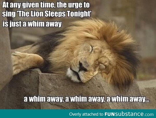 A whim away