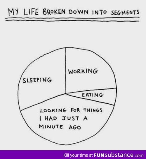 My life in a pie chart