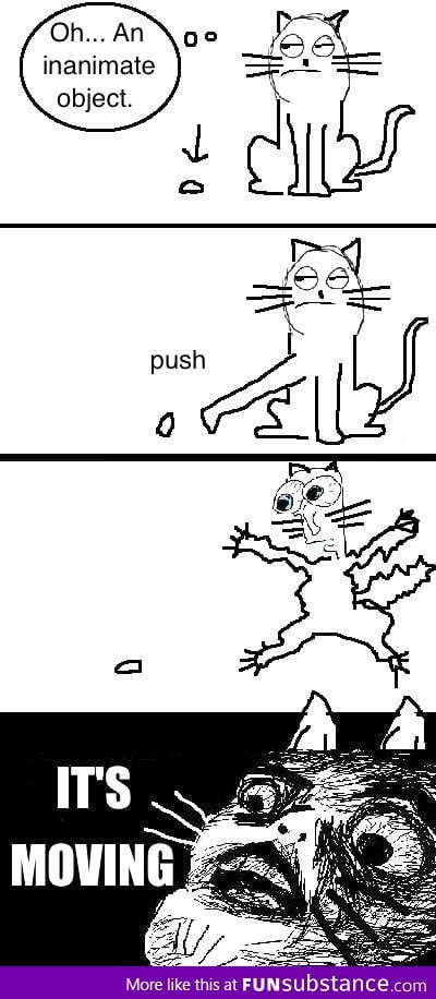 Cat logic