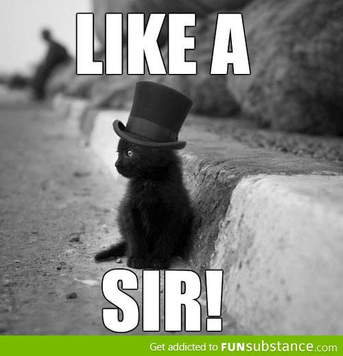 Like A Sir