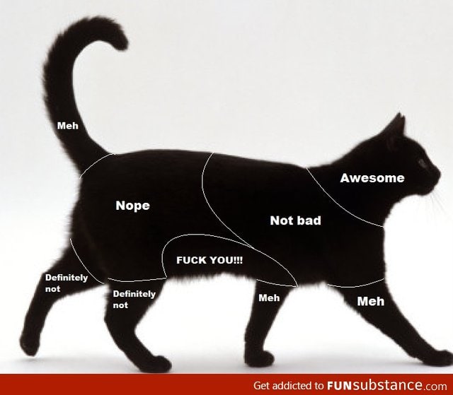 Petting chart for my cats
