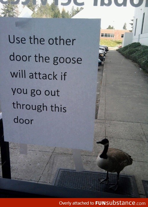 Guard Goose