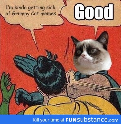 Grumpy Cat strikes back