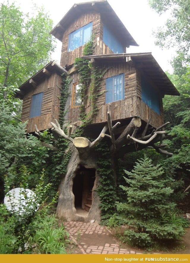Three story tree house