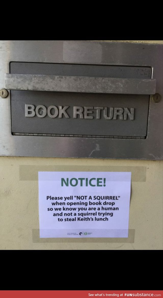 Not a squirrel
