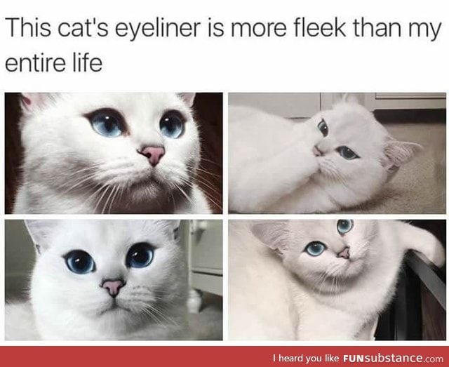 Cat's eyeliner on point