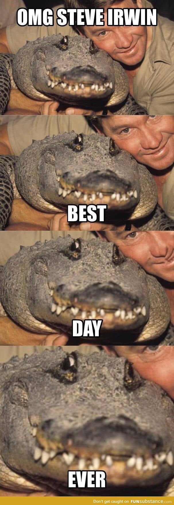 Alligator meeting Steve Irwin