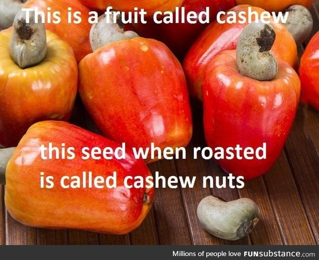 Cashew and cashew nuts