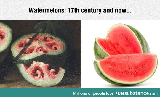 Wow, watermelons really changed over the centuries
