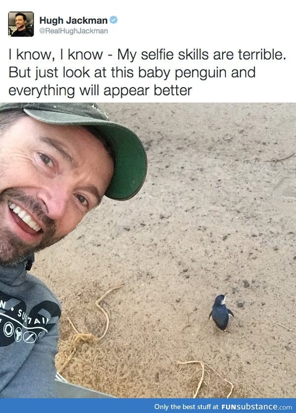 Just Hugh Jackman with a baby penguin