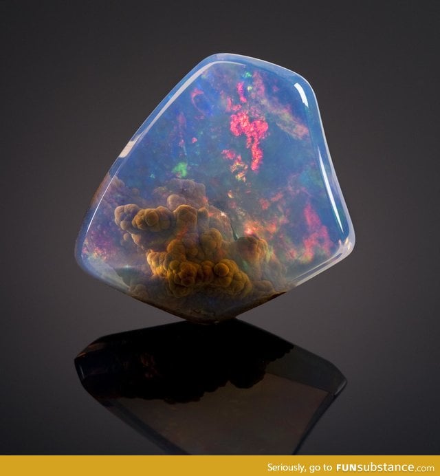 Contraluz opal worth $20000