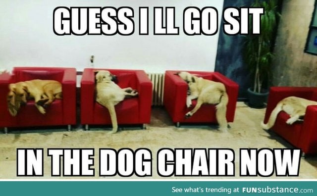 Since the hooman chairs are taken.