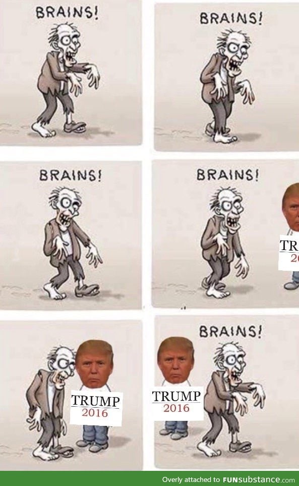 Brains