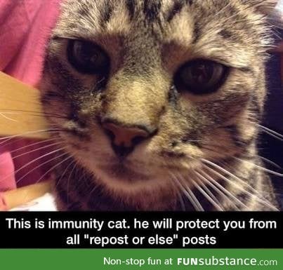 Immunity Cat