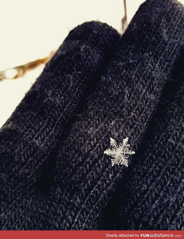 This huge single snowflake