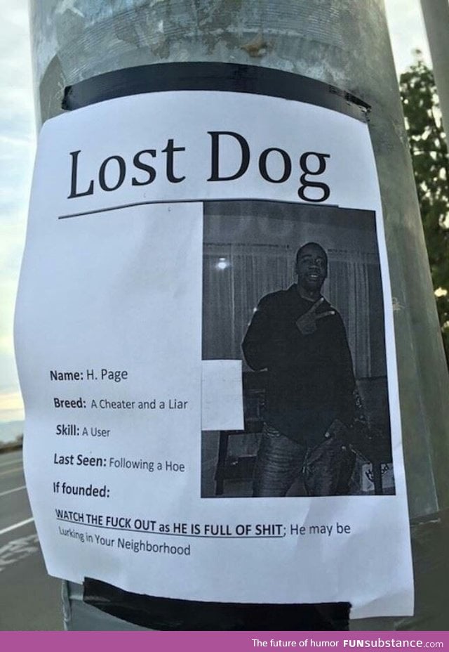 Be sure to keep an eye out for this poor lost dog!