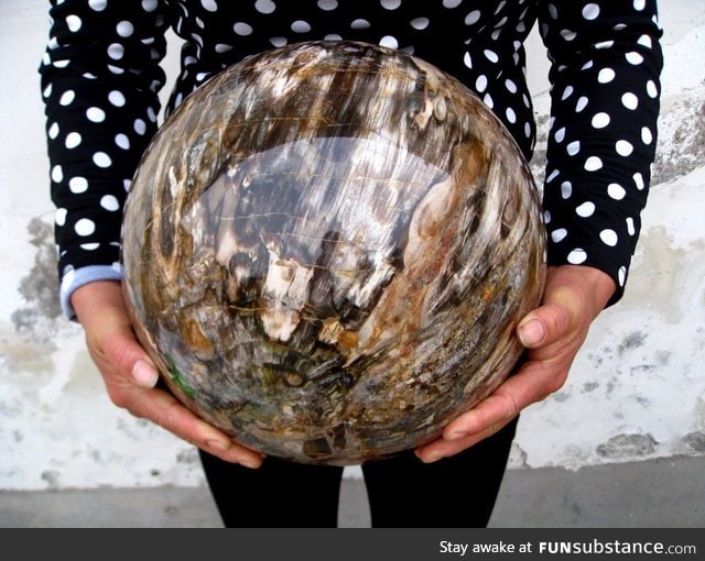 Polished sphere of fossilized wood