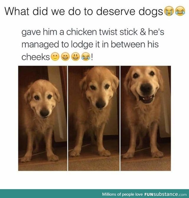 This dogs face is adorable