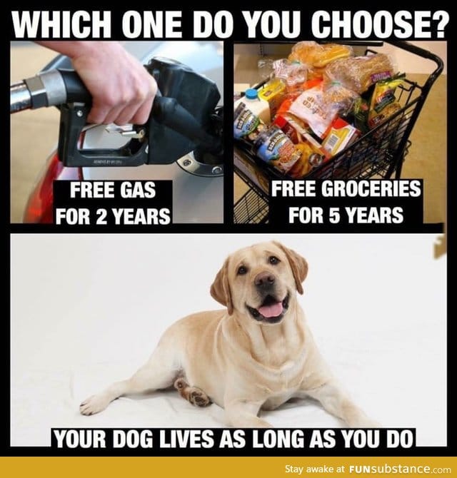 What one would you choose?