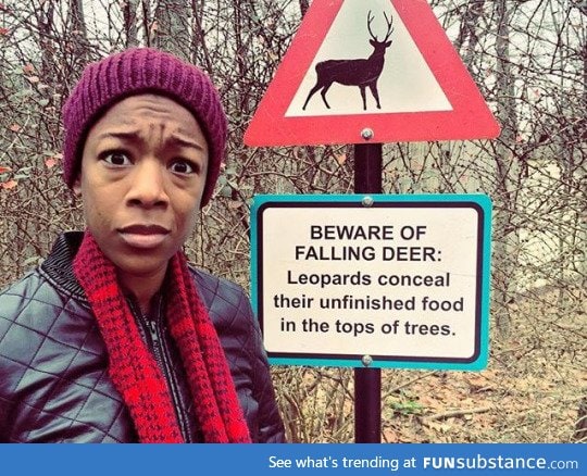 I think i can manage a leopard or two, but never a falling deer