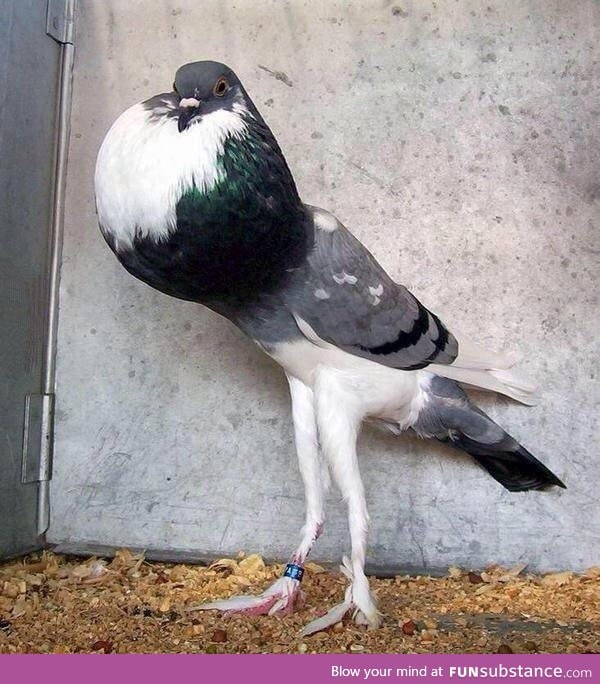 When you've already coughed 3 times and class and you're trying not to cough