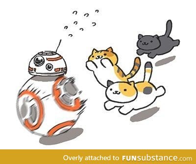 When BB-8 meets cats