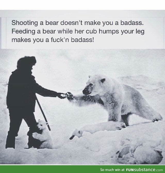 Don't shoot bears