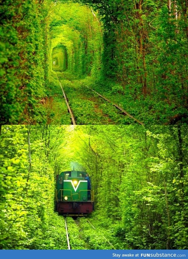 The Tunnel of Love, Ukraine
