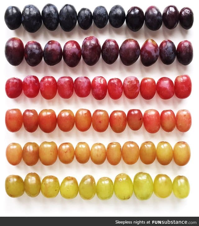 Shades of grapes