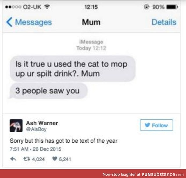 Cat mop