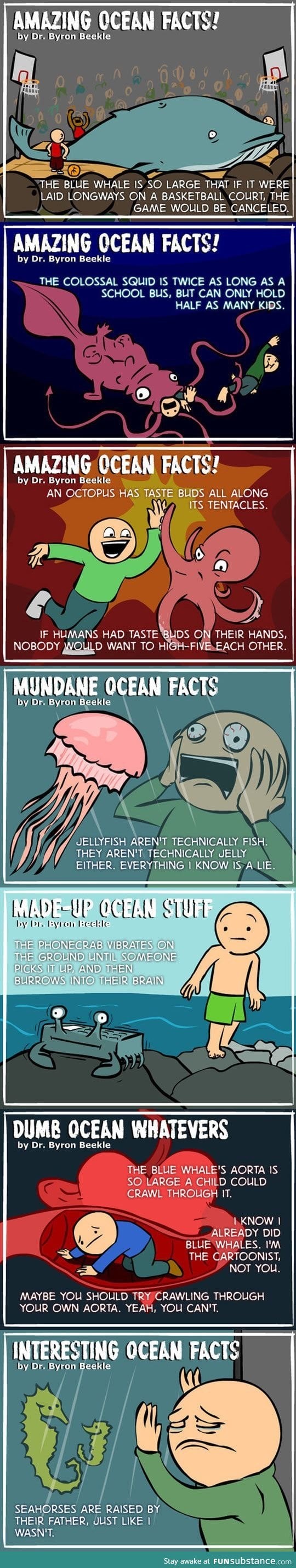 Amazing ocean facts!