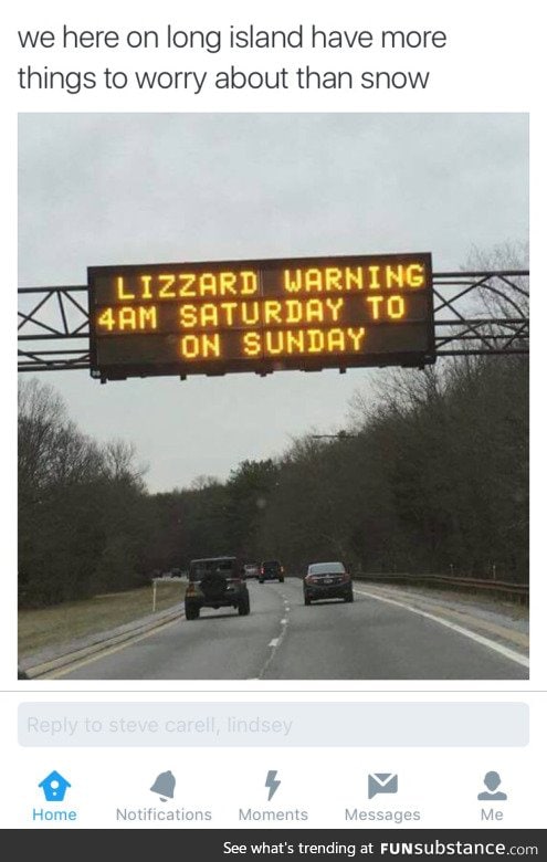 the lizzards are out there people