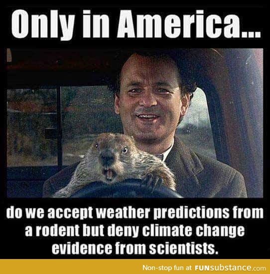 Groundhogs day > science?