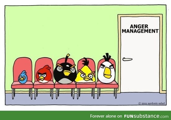 Birds with anger issues