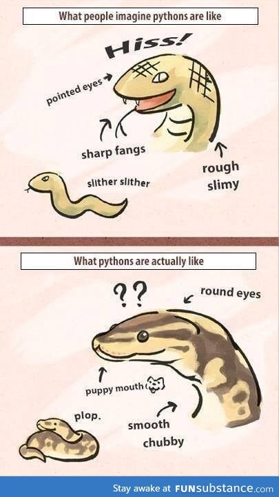 Snakes are cuties :3