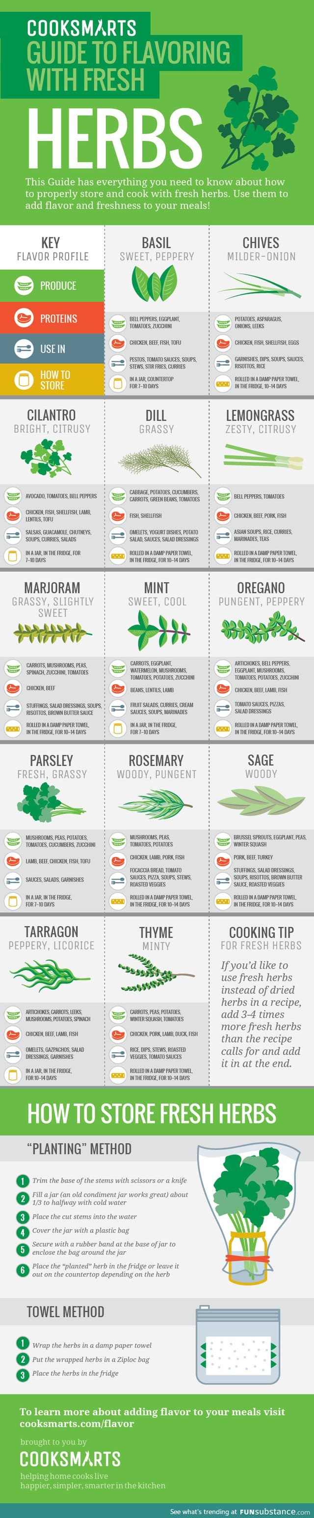 Guide to flavoring with fresh herbs
